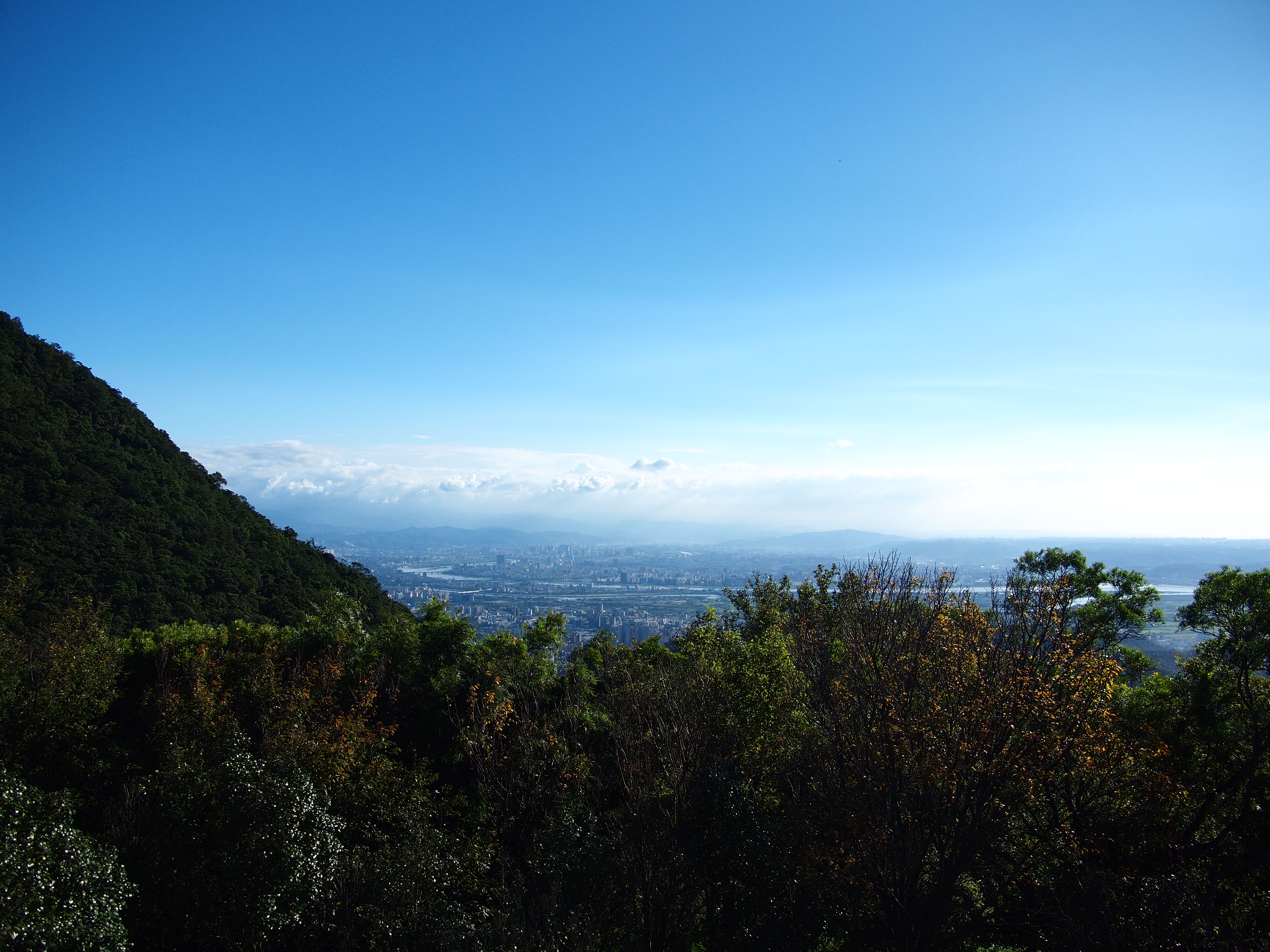 陽明山